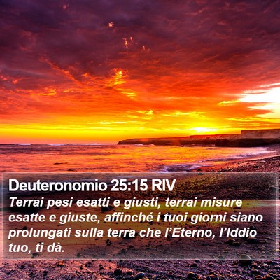 Deuteronomio 25:15 RIV Bible Verse Image