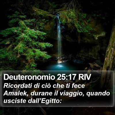 Deuteronomio 25:17 RIV Bible Verse Image