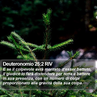 Deuteronomio 25:2 RIV Bible Verse Image