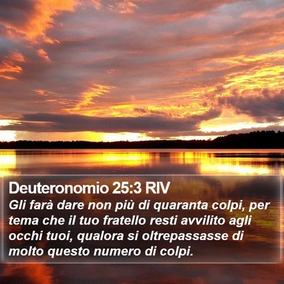 Deuteronomio 25:3 RIV Bible Verse Image