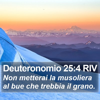 Deuteronomio 25:4 RIV Bible Verse Image
