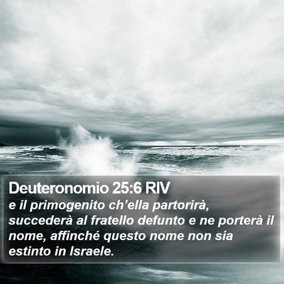 Deuteronomio 25:6 RIV Bible Verse Image