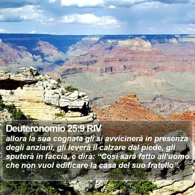 Deuteronomio 25:9 RIV Bible Verse Image