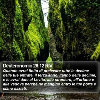 Deuteronomio 26:12 RIV Bible Verse Image
