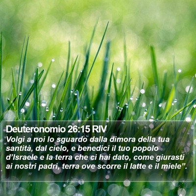 Deuteronomio 26:15 RIV Bible Verse Image