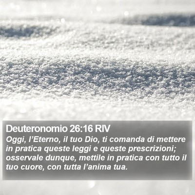 Deuteronomio 26:16 RIV Bible Verse Image