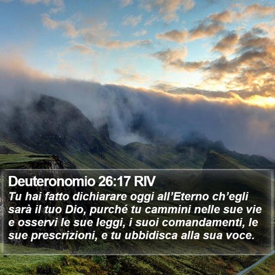Deuteronomio 26:17 RIV Bible Verse Image