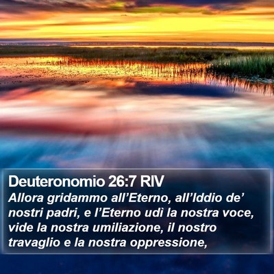 Deuteronomio 26:7 RIV Bible Verse Image