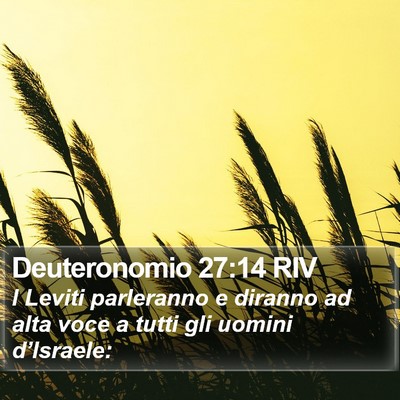 Deuteronomio 27:14 RIV Bible Verse Image