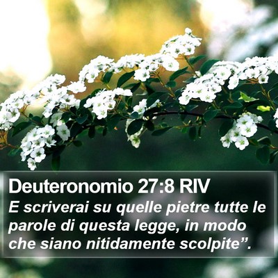 Deuteronomio 27:8 RIV Bible Verse Image