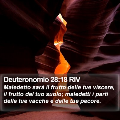 Deuteronomio 28:18 RIV Bible Verse Image