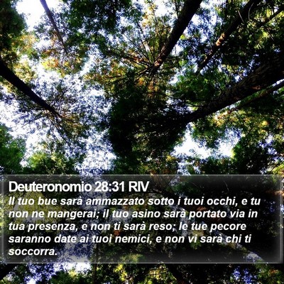 Deuteronomio 28:31 RIV Bible Verse Image