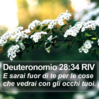 Deuteronomio 28:34 RIV Bible Verse Image