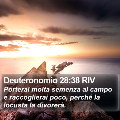 Deuteronomio 28:38 RIV Bible Verse Image