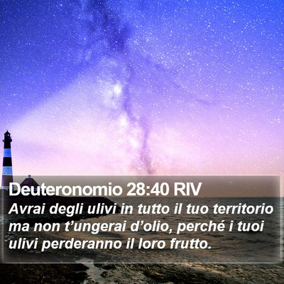 Deuteronomio 28:40 RIV Bible Verse Image