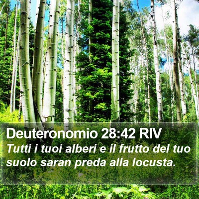 Deuteronomio 28:42 RIV Bible Verse Image