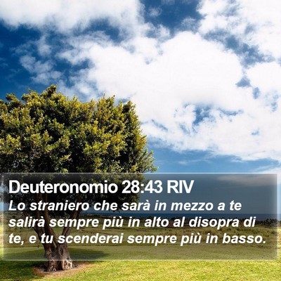 Deuteronomio 28:43 RIV Bible Verse Image
