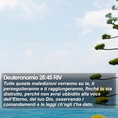 Deuteronomio 28:45 RIV Bible Verse Image