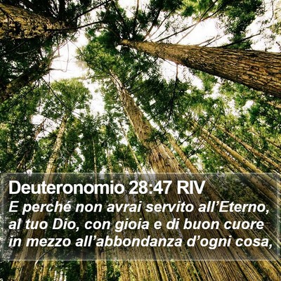 Deuteronomio 28:47 RIV Bible Verse Image