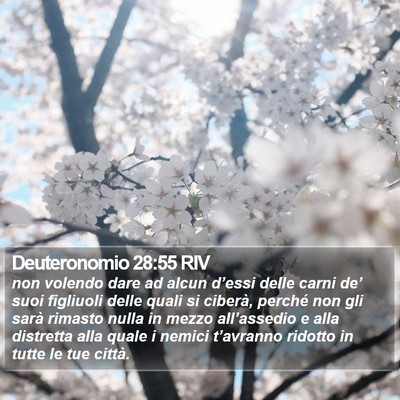 Deuteronomio 28:55 RIV Bible Verse Image