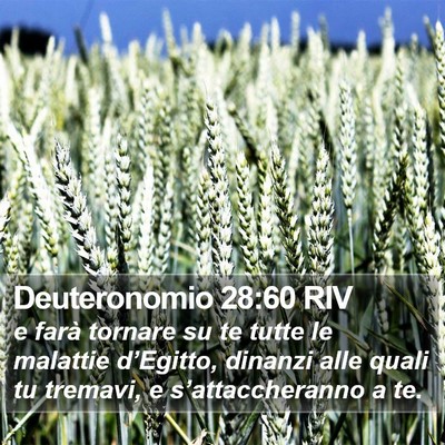 Deuteronomio 28:60 RIV Bible Verse Image