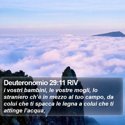 Deuteronomio 29:11 RIV Bible Verse Image
