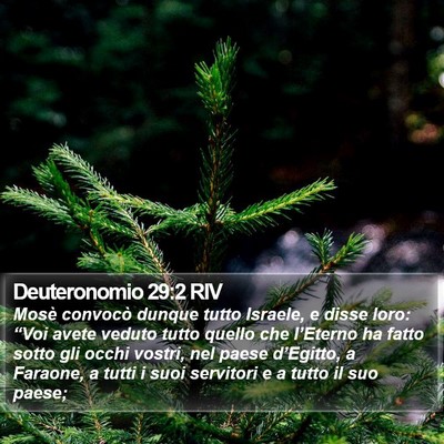 Deuteronomio 29:2 RIV Bible Verse Image