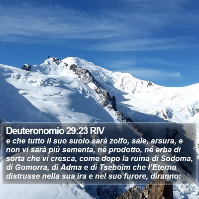 Deuteronomio 29:23 RIV Bible Verse Image
