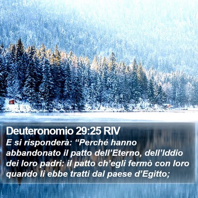 Deuteronomio 29:25 RIV Bible Verse Image