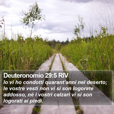 Deuteronomio 29:5 RIV Bible Verse Image