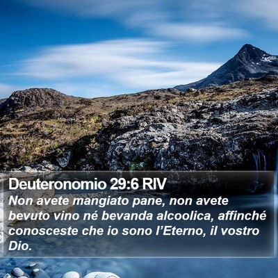 Deuteronomio 29:6 RIV Bible Verse Image