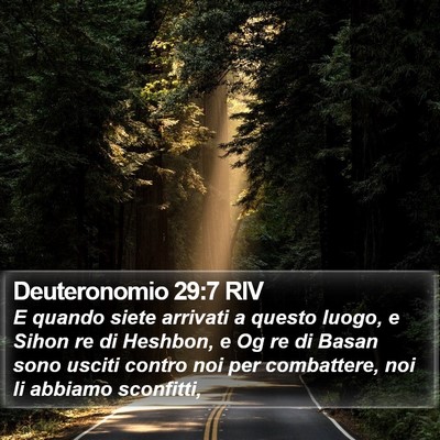 Deuteronomio 29:7 RIV Bible Verse Image