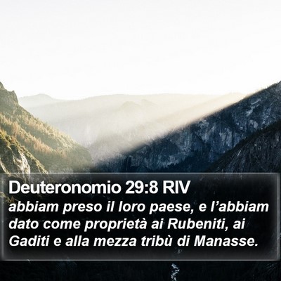 Deuteronomio 29:8 RIV Bible Verse Image