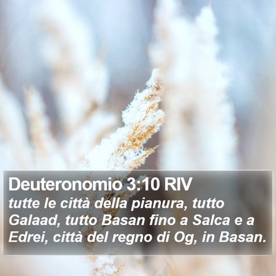 Deuteronomio 3:10 RIV Bible Verse Image