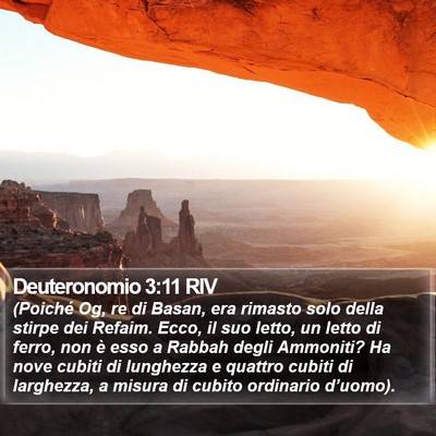 Deuteronomio 3:11 RIV Bible Verse Image