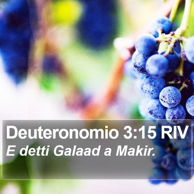 Deuteronomio 3:15 RIV Bible Verse Image