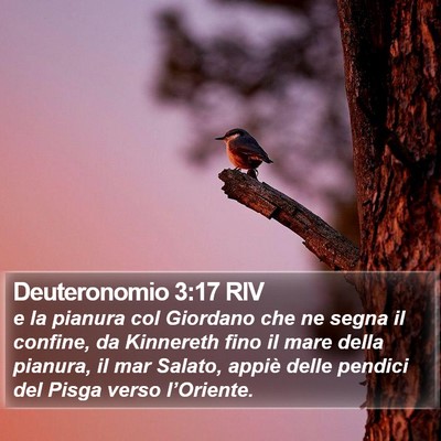 Deuteronomio 3:17 RIV Bible Verse Image