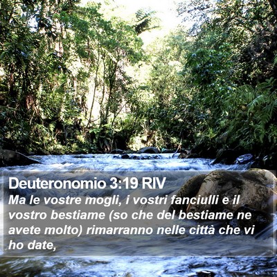 Deuteronomio 3:19 RIV Bible Verse Image