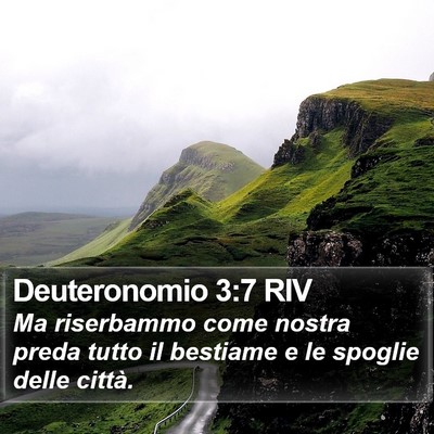 Deuteronomio 3:7 RIV Bible Verse Image