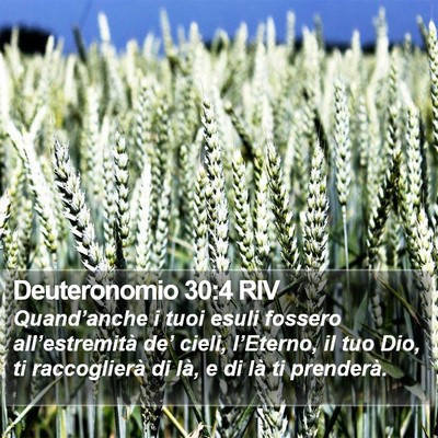 Deuteronomio 30:4 RIV Bible Verse Image