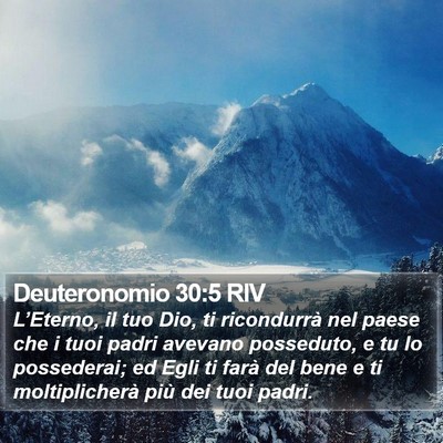 Deuteronomio 30:5 RIV Bible Verse Image