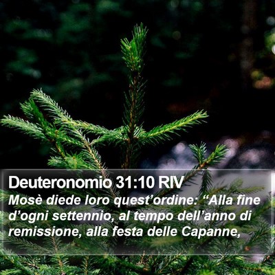 Deuteronomio 31:10 RIV Bible Verse Image