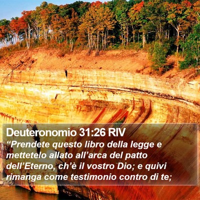 Deuteronomio 31:26 RIV Bible Verse Image