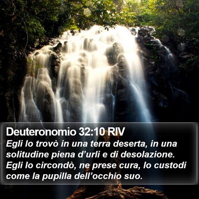 Deuteronomio 32:10 RIV Bible Verse Image