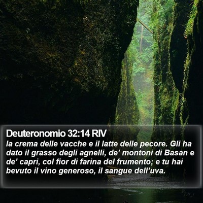 Deuteronomio 32:14 RIV Bible Verse Image