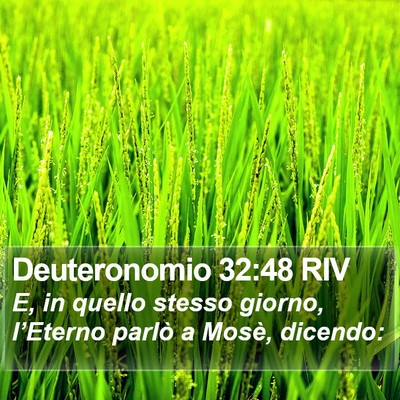 Deuteronomio 32:48 RIV Bible Verse Image