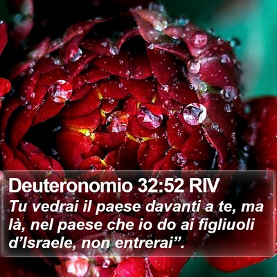 Deuteronomio 32:52 RIV Bible Verse Image