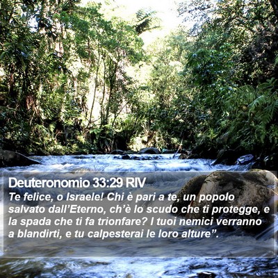 Deuteronomio 33:29 RIV Bible Verse Image