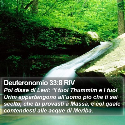 Deuteronomio 33:8 RIV Bible Verse Image