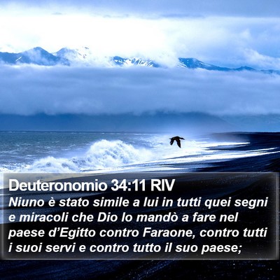 Deuteronomio 34:11 RIV Bible Verse Image